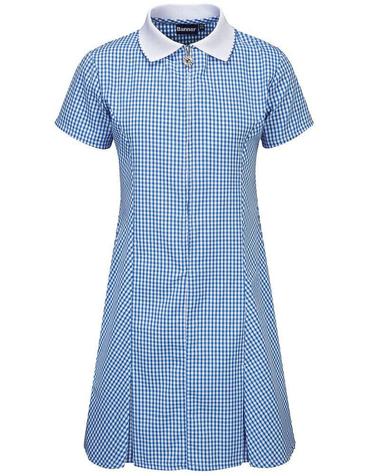 Avon Corded Gingham Dress Blue
