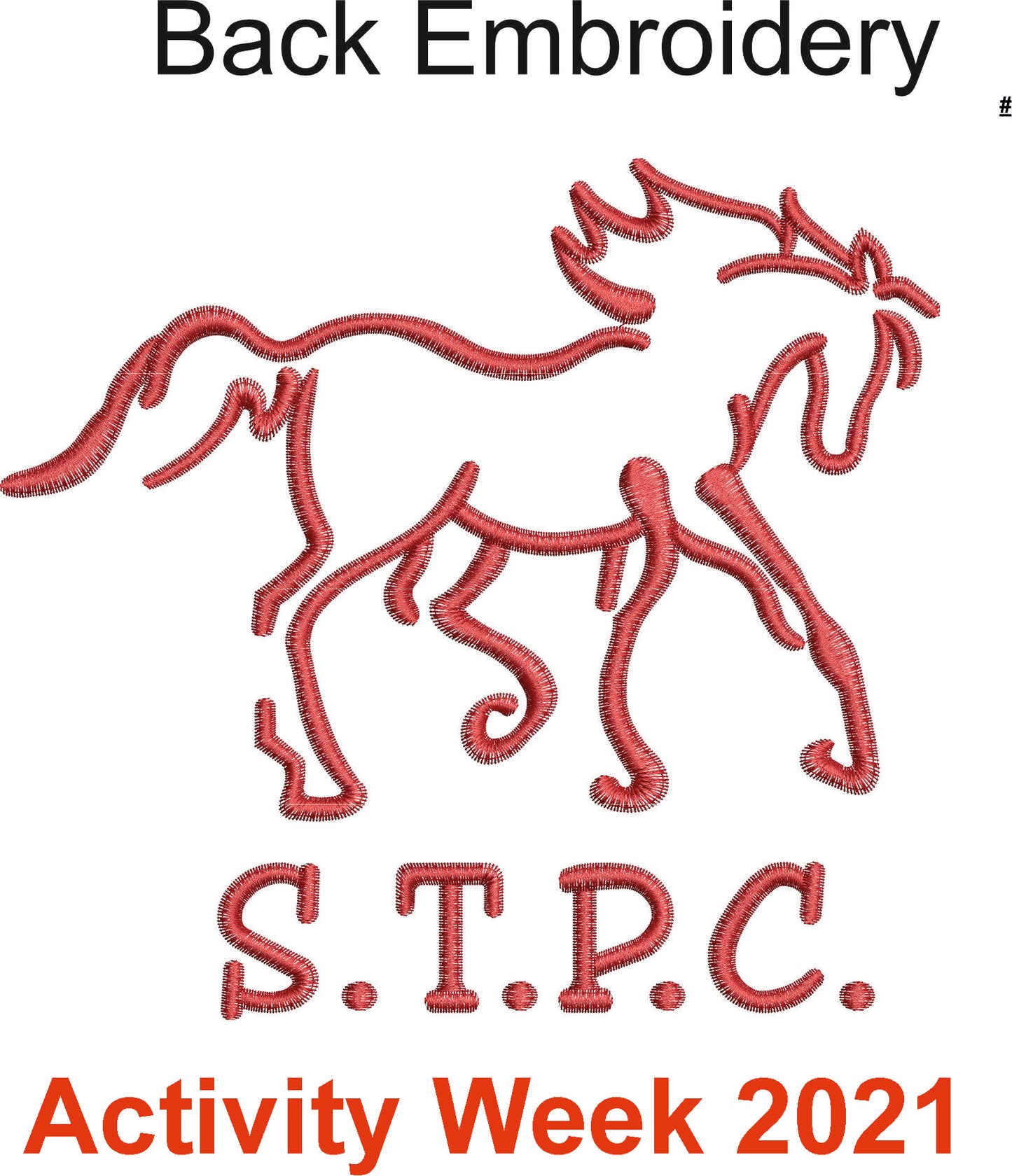 South Trent Pony Club Activity Week Polo