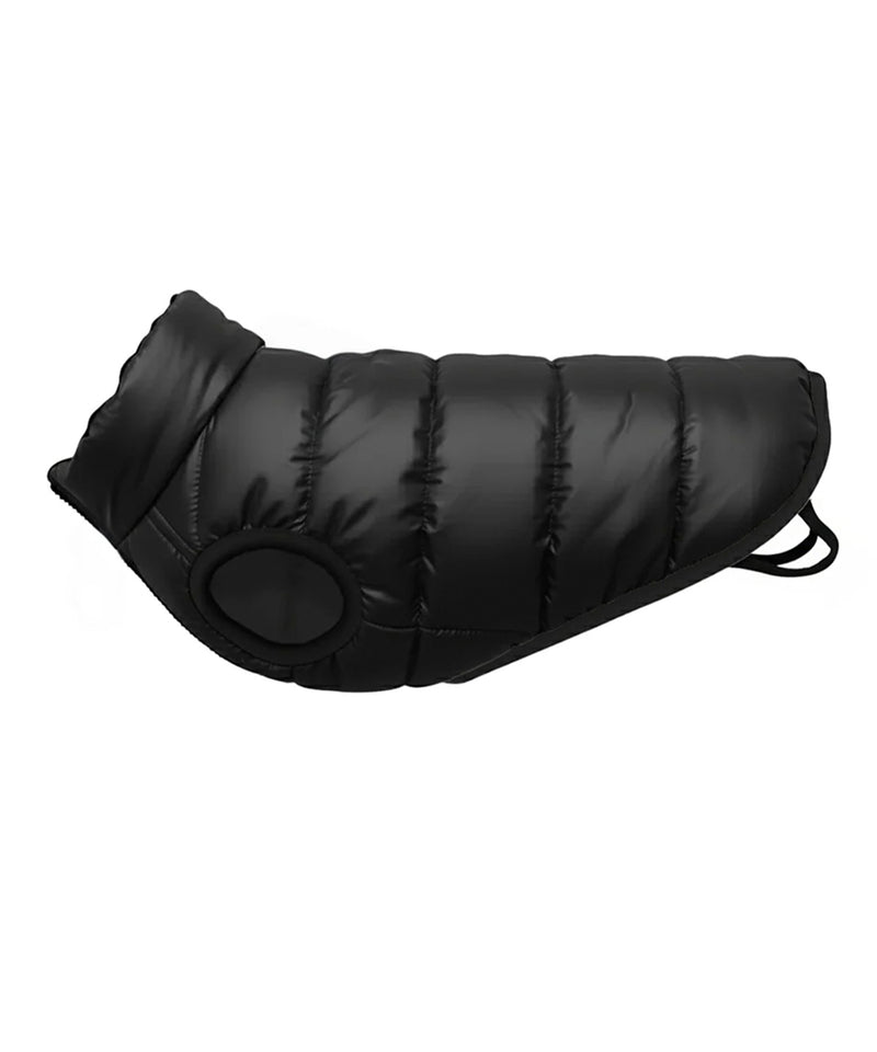 Dog's puffer jacket - personalised by IPM Teamwear