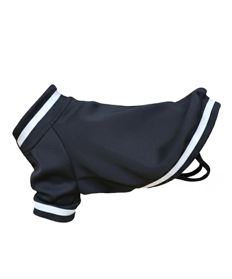 Dog's varsity jacket - personalised by IPM Teamwear