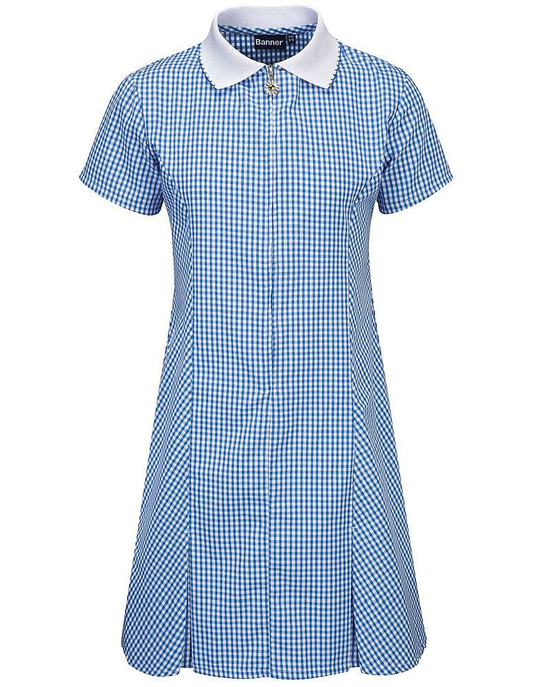 Avon Corded Gingham Dress