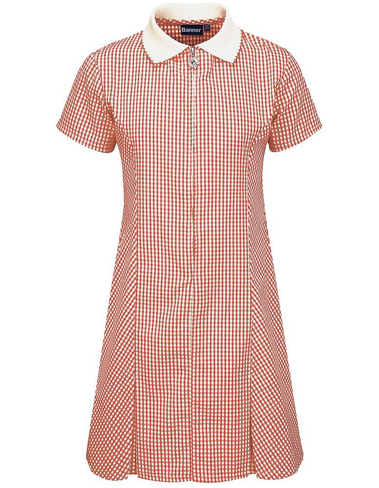 Avon Corded Gingham Dress