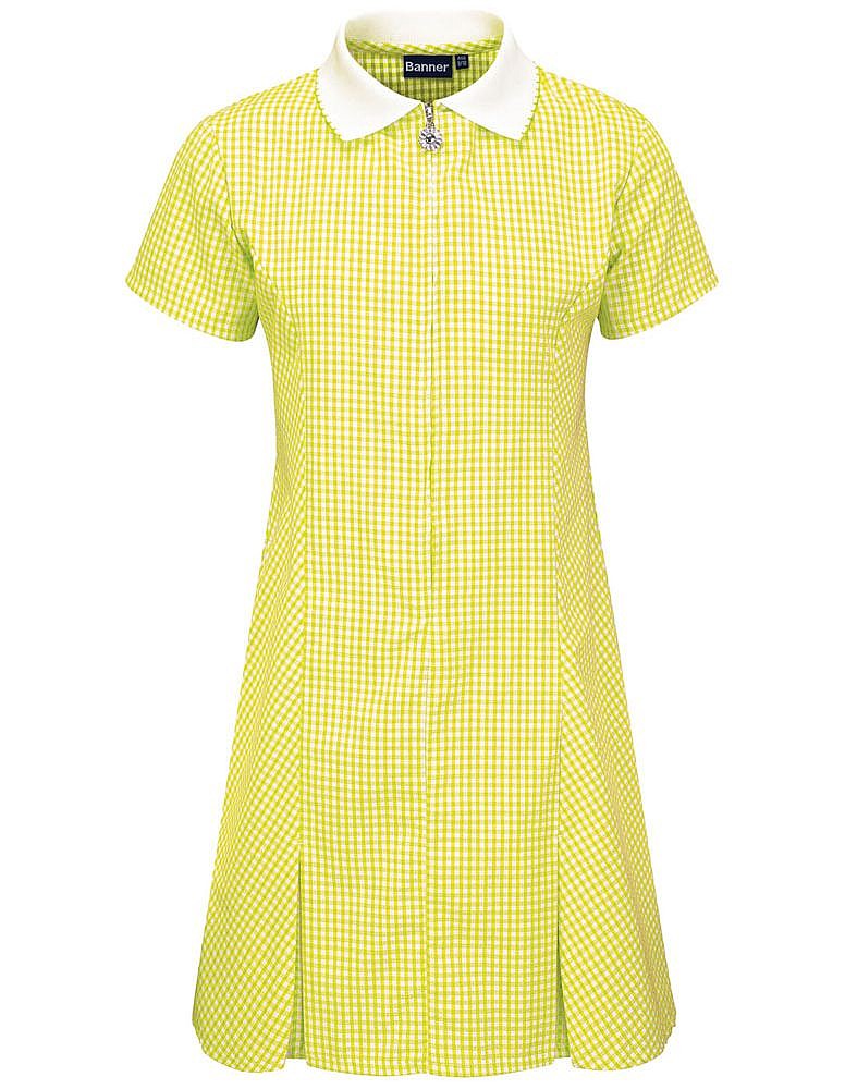 Avon Corded Gingham Dress