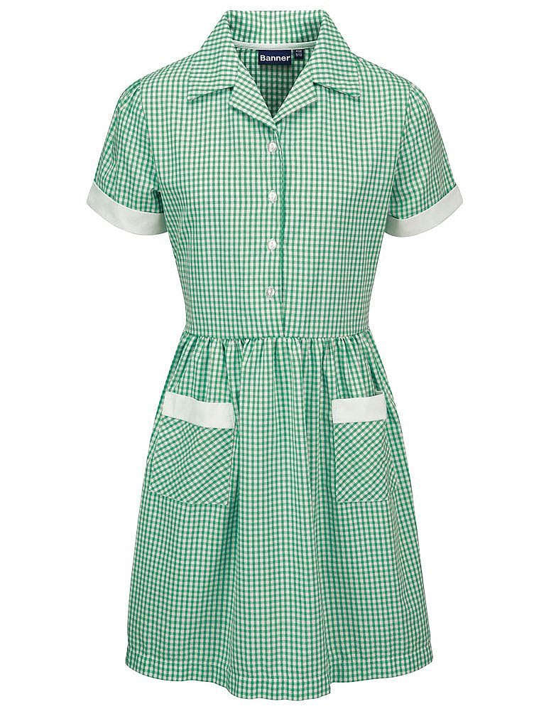 Ayr Corded Gingham Dress