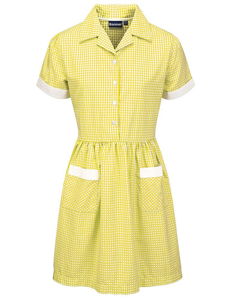 Ayr Corded Gingham Dress