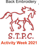 South Trent Pony Club Activity Week Polo